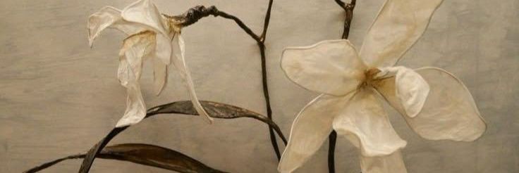 mel 🪸 | kinda ia banner