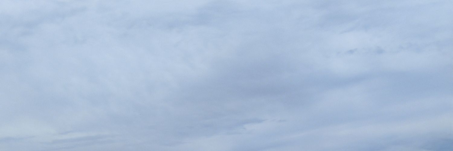 onlyforwinhere's profile banner image