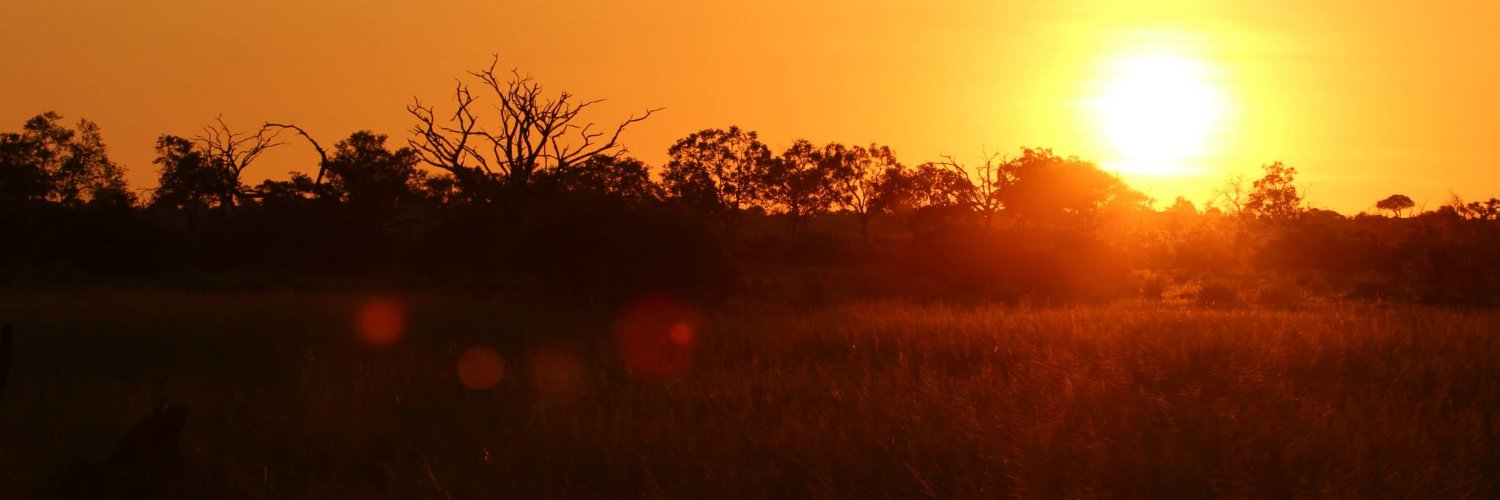 whereiswaller's profile banner image