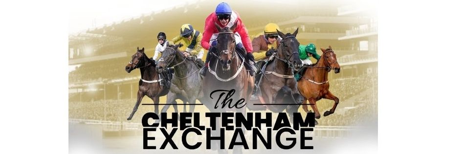 CheltEx-Matty banner