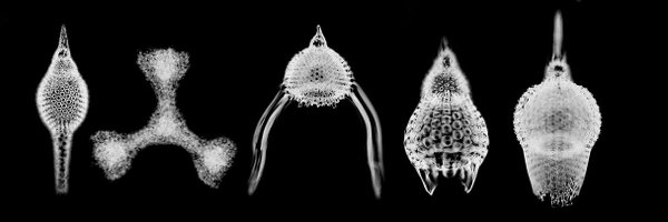 cirklone Profile Banner