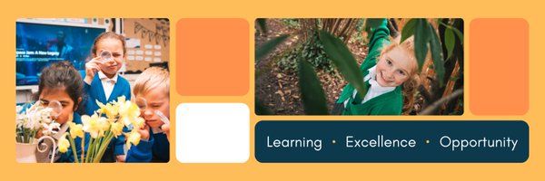 SustainableLEO Profile Banner