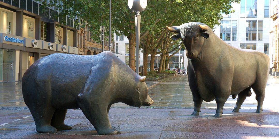 BearyBullish's profile banner image
