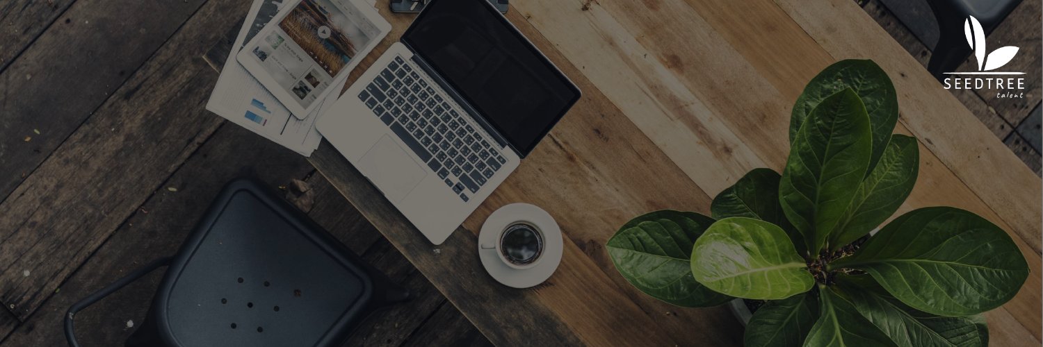 seedtree_talent's profile banner image