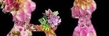 happiness_oko's profile banner image