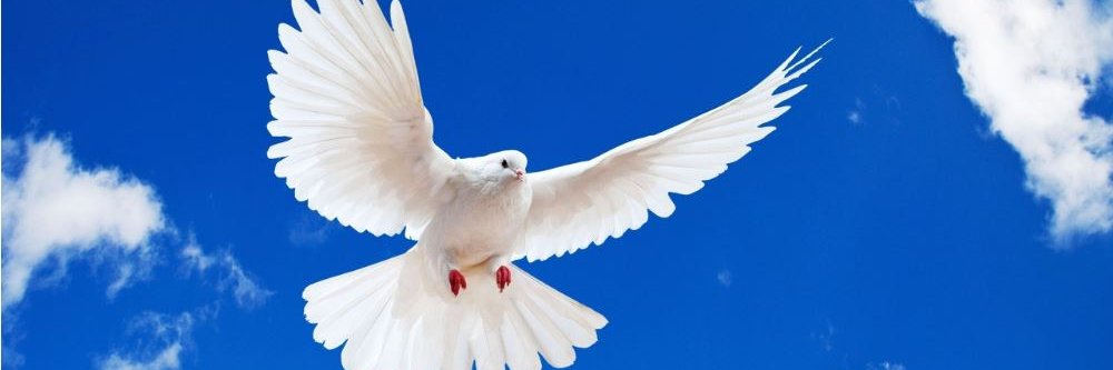 evjai1's profile banner image