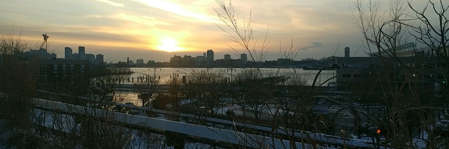 froyopolo's profile banner image