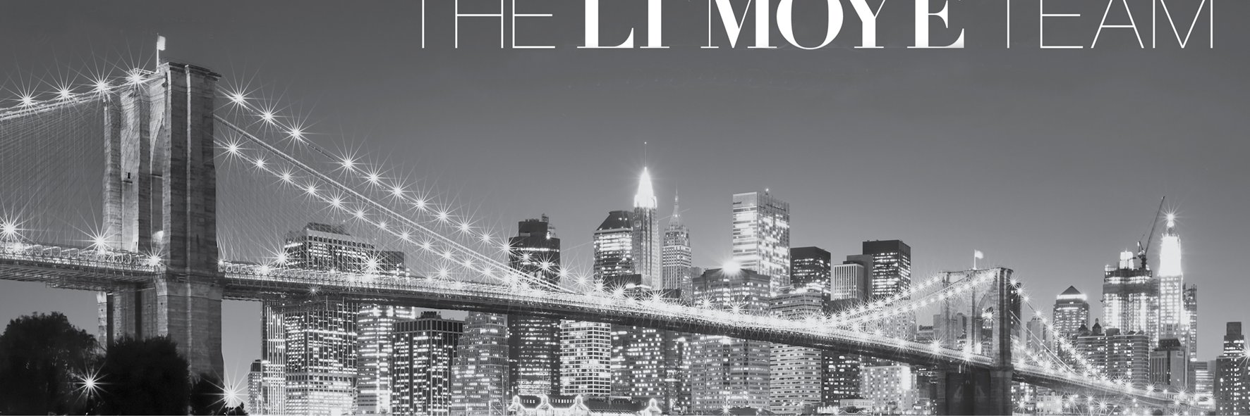 TheLiMoyeTeam's profile banner image
