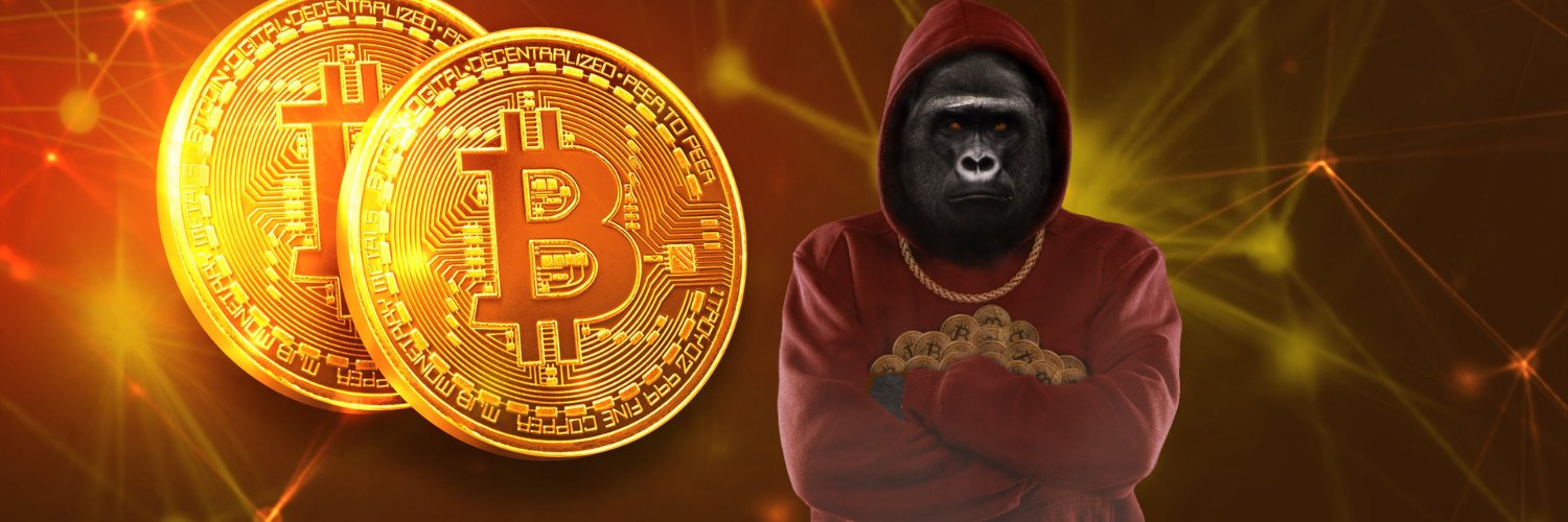 CryptoMonkey_pt's profile banner image