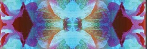 crivasl_'s profile banner image