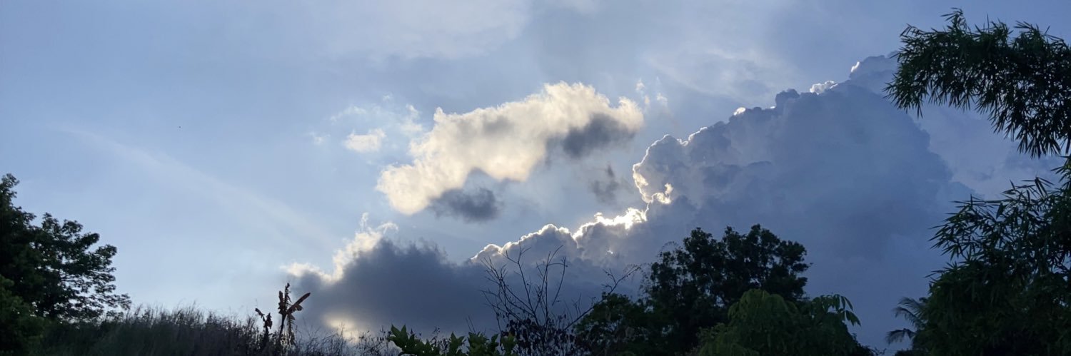 Charlotte Xavier banner