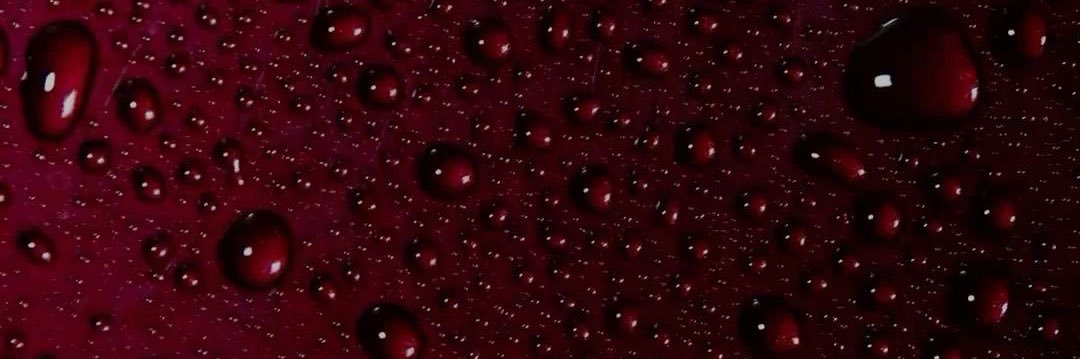 BTCbitchcoin's profile banner image