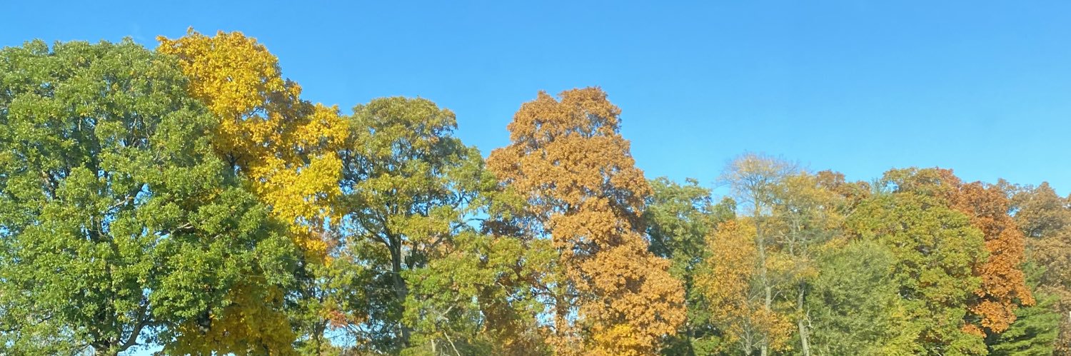 HeatherSamonski's profile banner image