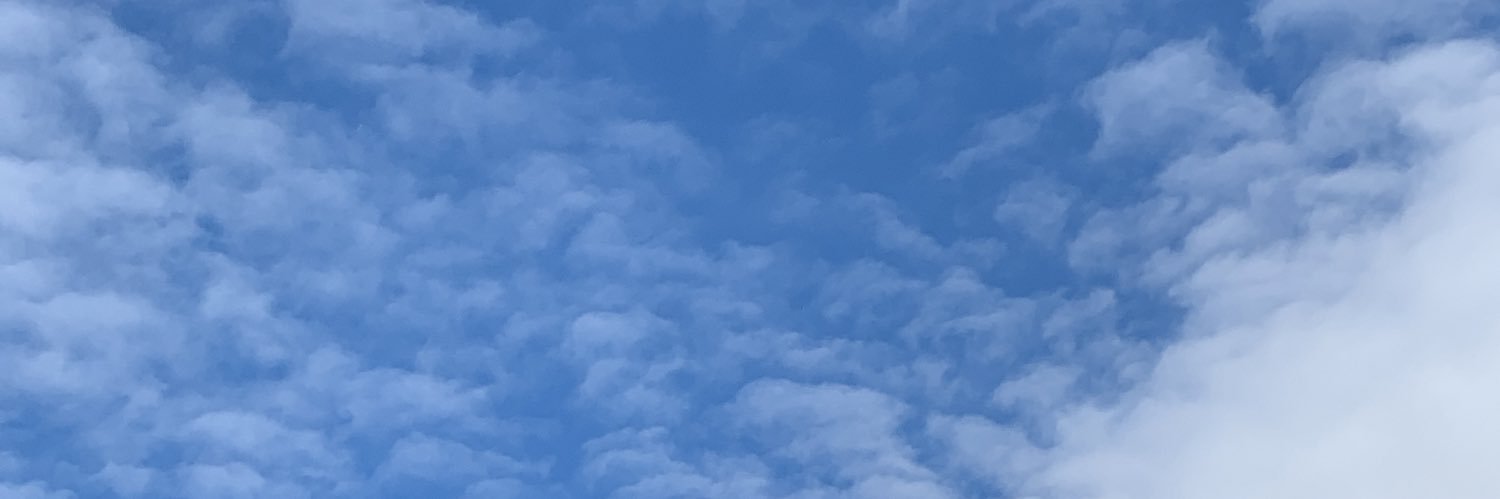 duh_layna's profile banner image