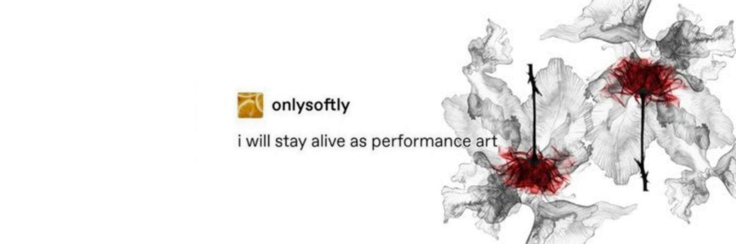 софа суо banner