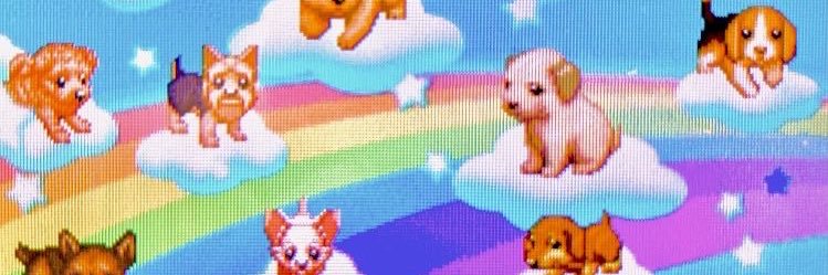 mani 🐕🍛 banner