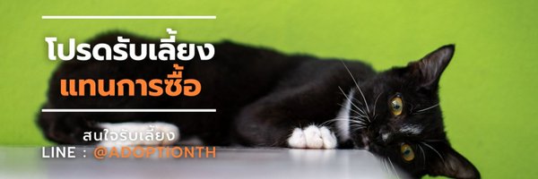 soidogadoptions Profile Banner