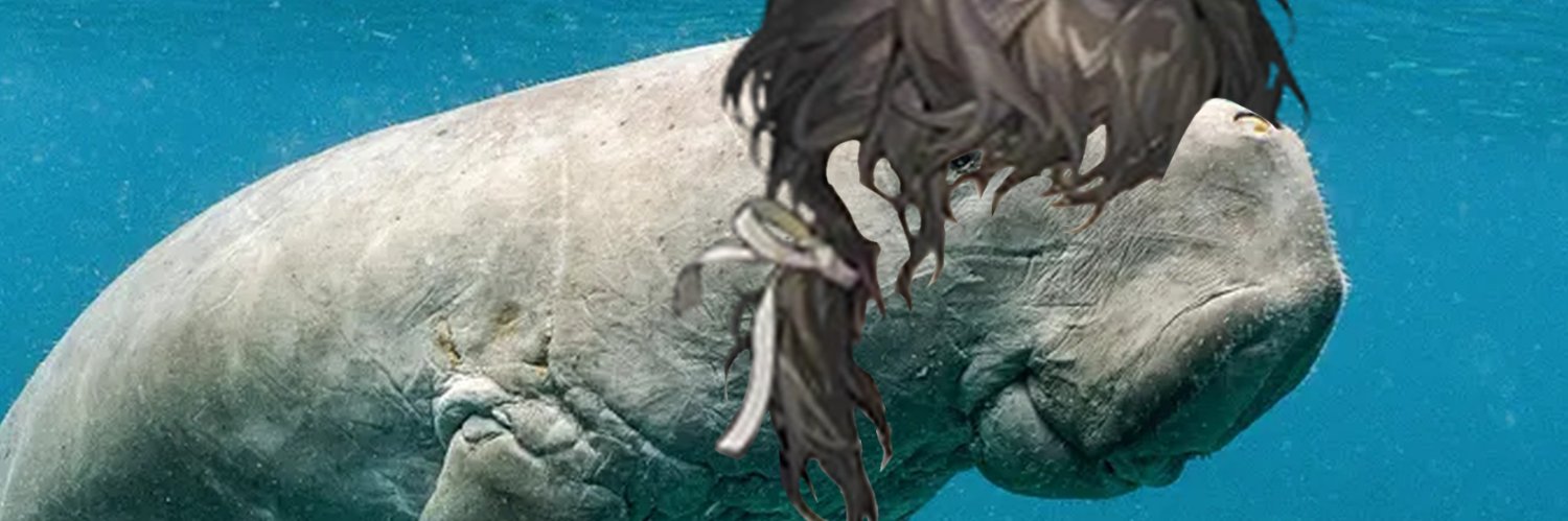 kucingsoviet_24's profile banner image