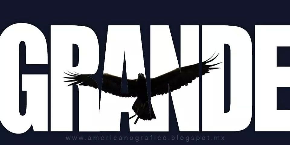 Fernandobm19's profile banner image