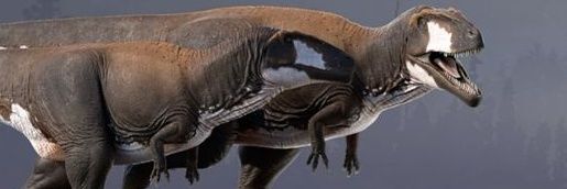 𝐂𝐚𝐫𝐜𝐡𝐚𝐝𝐨𝐫𝐨𝐧𝐭𝐨𝐬𝐚𝐮𝐫𝐮𝐬. banner