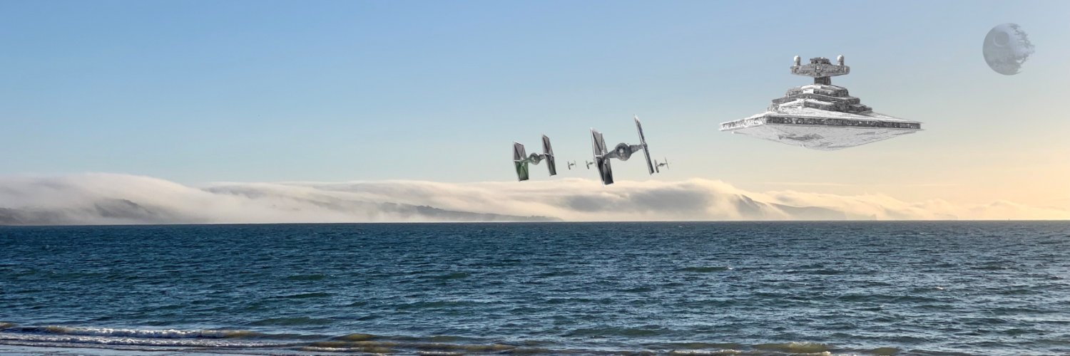 Nemo Salus 🇬🇧 banner