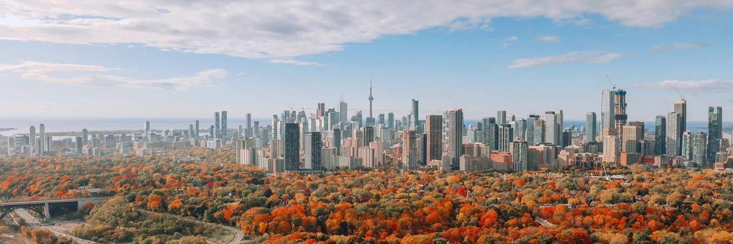 Mitchell B Slapik banner