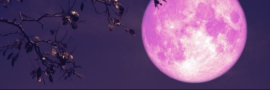 daydreamin ☁️ banner