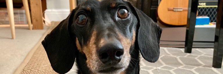 Mark Schofield banner