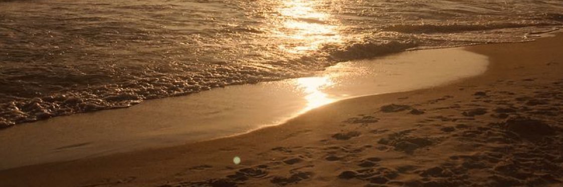 Online banner