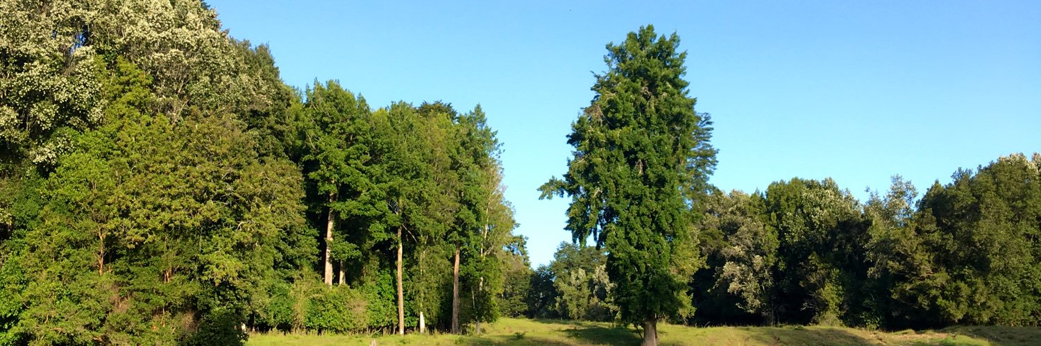 estebanrojm's profile banner image