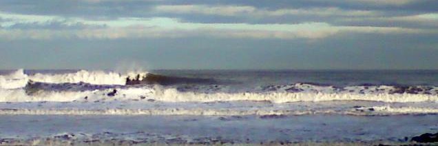 The Ghost of Elsie Tanner's Cat 😺 banner