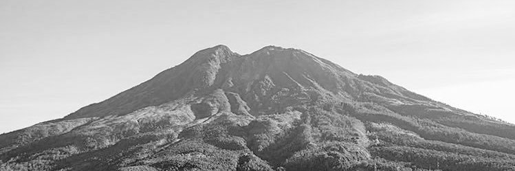 arieyant09's profile banner image