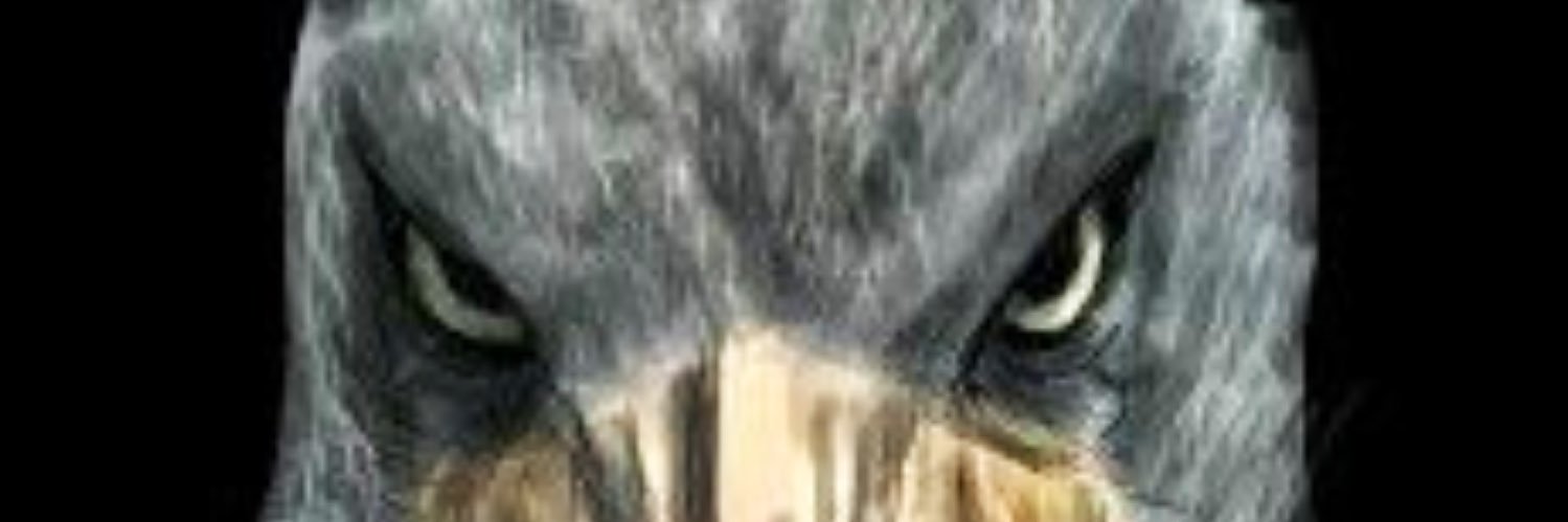 RachelMarlena's profile banner image