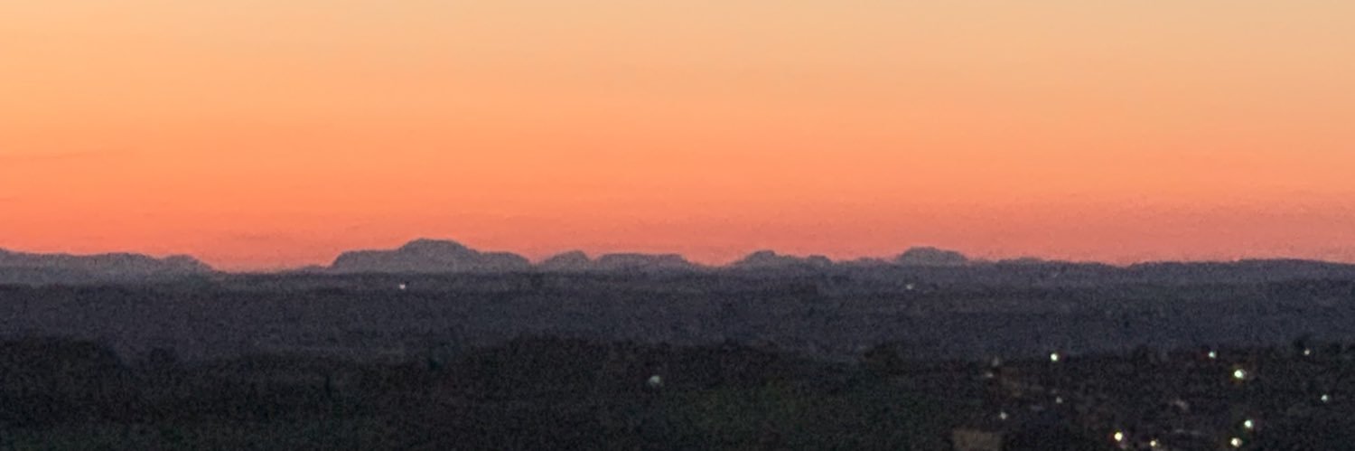 Susanne Driffield banner