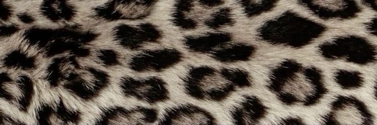 Là banner