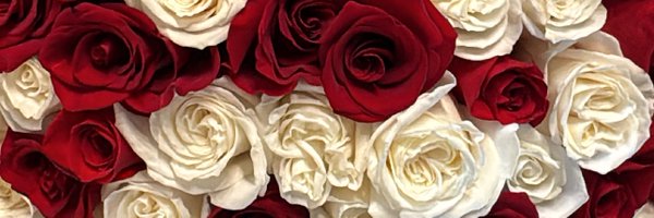 rawdiamond123 Profile Banner