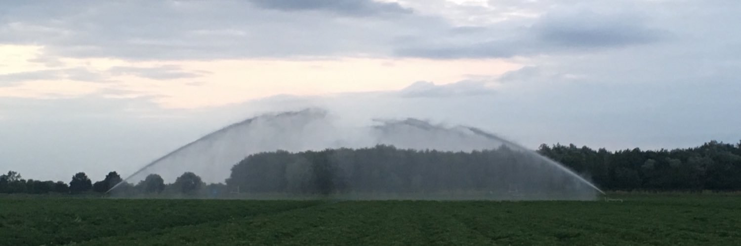 Will Shakeshaft banner