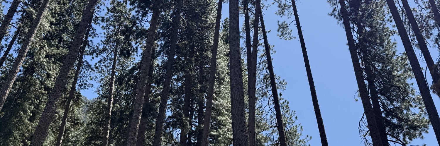 Land Tantichot banner