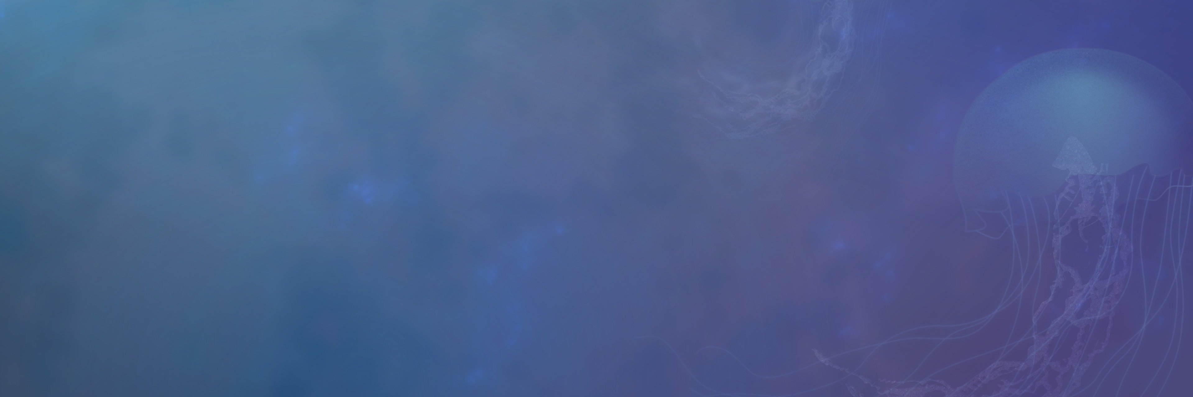 eRadical's profile banner image
