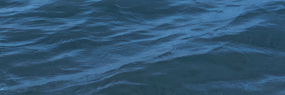 OneWaveOneSound's profile banner image