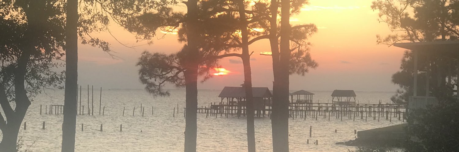 Not Miss America banner