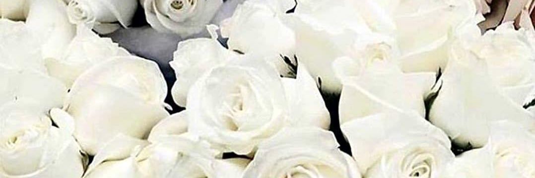 Michypr_ banner