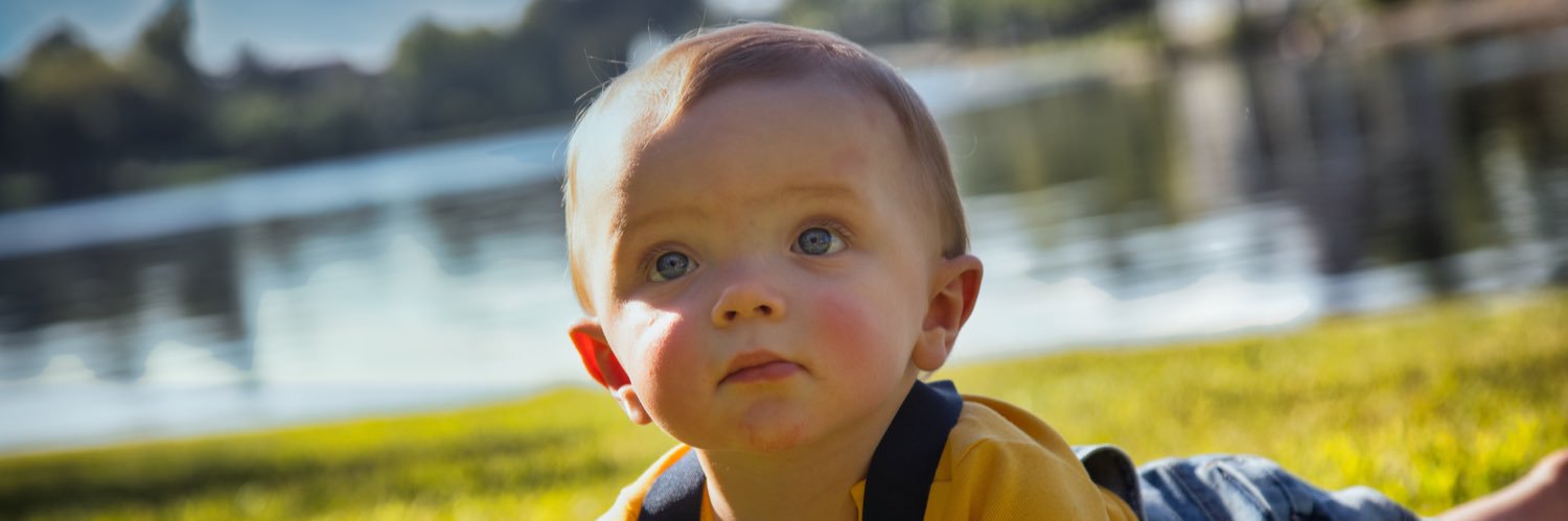 Tropcarebear's profile banner image