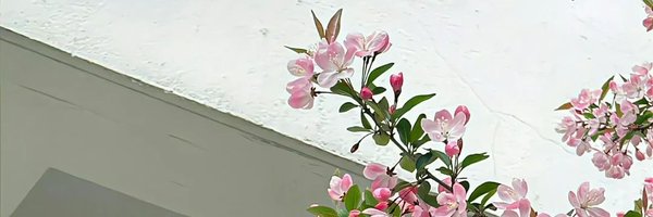 jjerjin Profile Banner