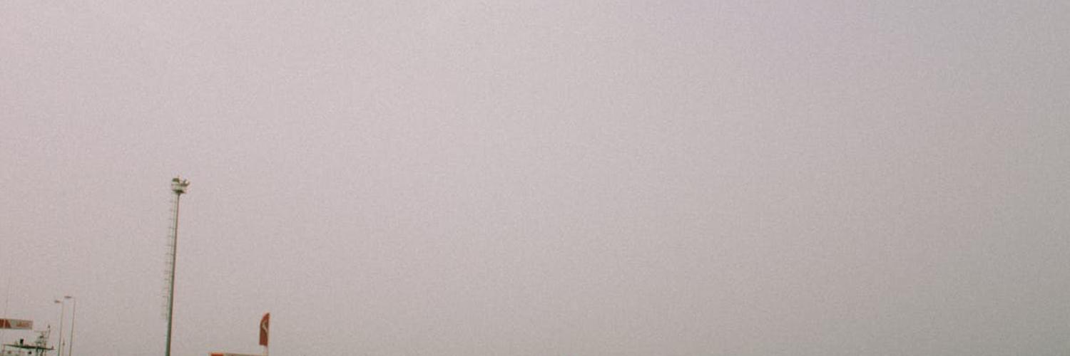 Felipa Davidson banner