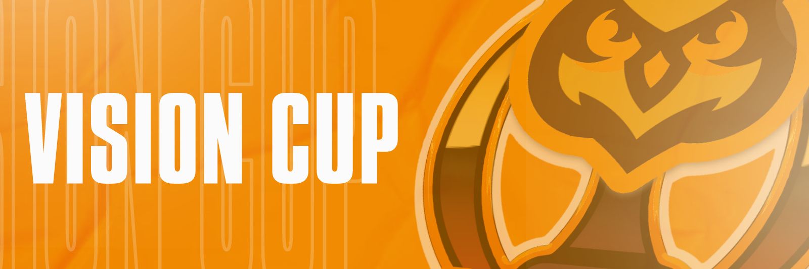 Vision Cup 🏆🦉 banner