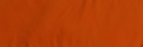 HoltRobertson_ Profile Banner
