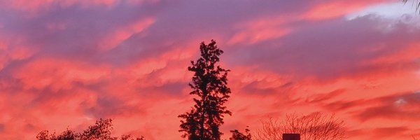 pamelitazb Profile Banner