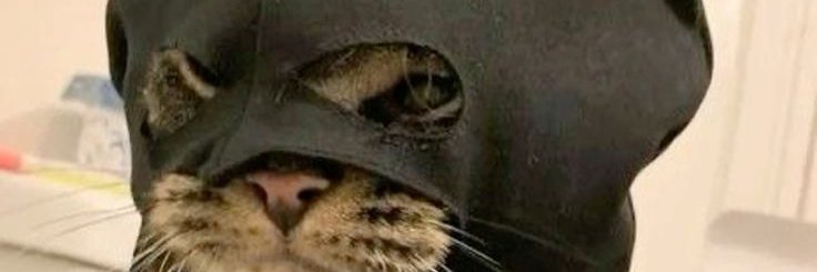 apenasbatima's profile banner image
