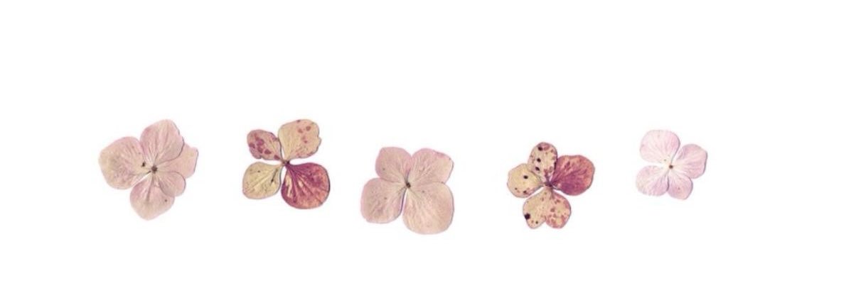 cinnabook's profile banner image